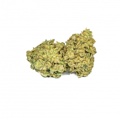 “Harlequin” 7% CBD <0,2%